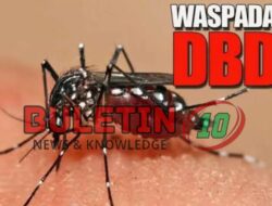 Komisi D DPRD Jombang Prihatin Jumlah Korban DBD Meninggal Bertambah