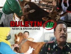 Kabar Baik Jelang Lebaran, Disnak Jombang Pastikan Zero PMK