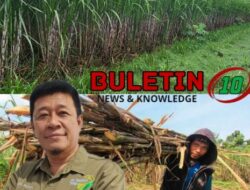 Disperta Jombang Komitmen Tingkatkan Jumlah Produksi Tanaman Tebu 