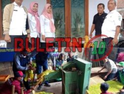 Disperta Jombang Tingkatkan Penghasilan Petani Tembakau Lewat 2 Varietas Lokal Andalan