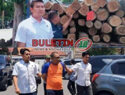 Perangkat Desa di Jombang Diciduk Polisi Usai Terlibat Penebangan Liar 