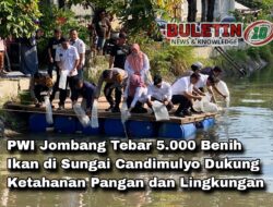 PWI Jombang Tebar 5.000 Benih Ikan di Sungai Candimulyo Dukung Ketahanan Pangan dan Lingkungan