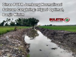 Dinas PUPR Jombang Normalisasi Saluran Cangkring: Irigasi Optimal, Banjir Minim