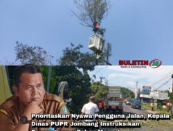 Prioritaskan Nyawa Pengguna Jalan, Kepala Dinas PUPR Jombang Instruksikan Pemangkasan Pohon Massal